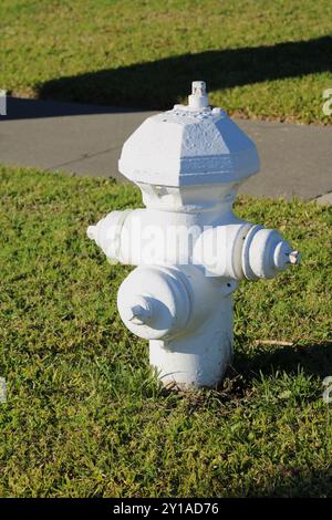 Weißer Hydrant in der Nähe von grünem Gras Stockfoto