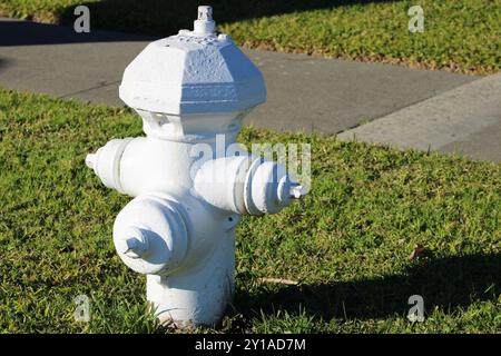 Weißer Hydrant in der Nähe von grünem Gras Stockfoto