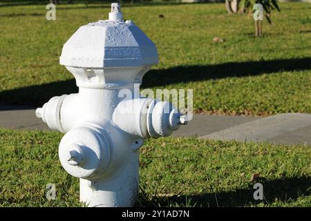 Weißer Hydrant in der Nähe von grünem Gras Stockfoto