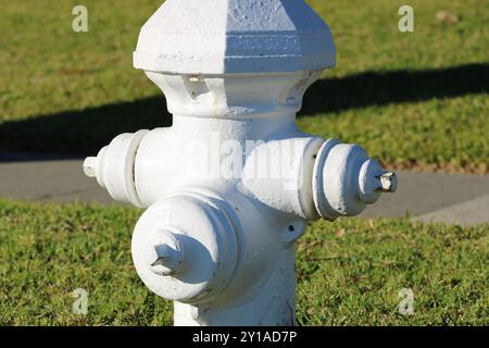 Weißer Hydrant in der Nähe von grünem Gras Stockfoto