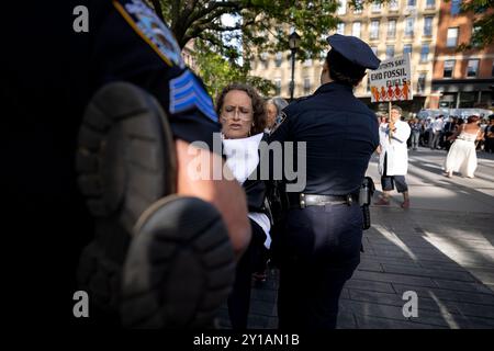 New York, New York, USA. September 2024. Ein verhafteter Klimaaktivist, verkleidet als Orcas-Wal, wird von der Polizei während eines gewaltfreien Protests gegen zivilen Ungehorsam vor dem Hauptquartier der Citigroup am 5. September 2024 in New York City mitgenommen. Der historische „Summer of Heat“ an der Wall Street hat mittlerweile über 600 Verhaftungen erreicht, und über 5.000 Menschen haben sich an der Kampagne zur Beendigung der Finanzierung fossiler Brennstoffe durch die Wall Street beteiligt. (Kreditbild: © Michael Nigro/Pacific Press via ZUMA Press Wire) NUR REDAKTIONELLE VERWENDUNG! Nicht für kommerzielle ZWECKE! Stockfoto