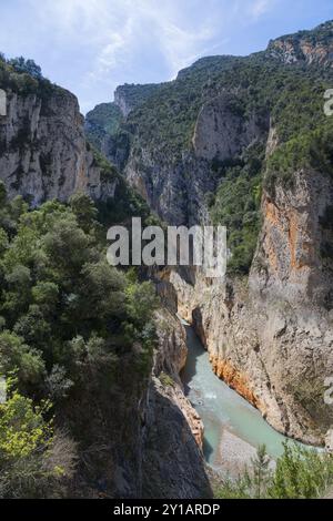 Ein Fluss fließt durch eine tiefe Schlucht mit steilen, bewaldeten Felswänden und grünen Dickicht, Congost de Mont-rebei Schlucht, Noguera Ribagorcana Mont-rebei Natu Stockfoto