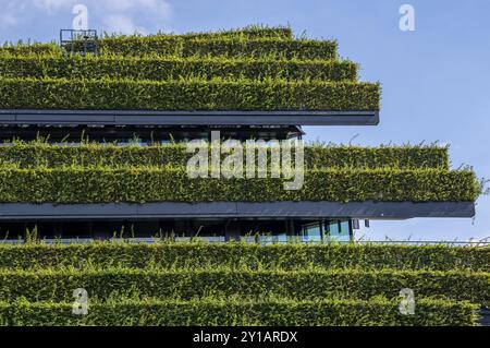 Grüne Fassade, bestehend aus über 30, 000 Hainbuken, die eine gut 8 Kilometer lange Hecke bilden, auf dem Dach und der Fassade des Koe-Bogen-2-Gebäudes Stockfoto