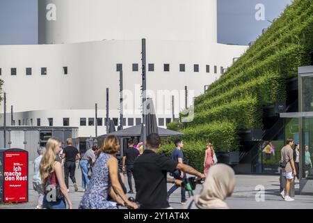 Grüne Fassade, bestehend aus über 30, 000 Hainbuken, die eine gut 8 Kilometer lange Hecke bilden, auf dem Dach und der Fassade des Koe-Bogen-2-Gebäudes Stockfoto