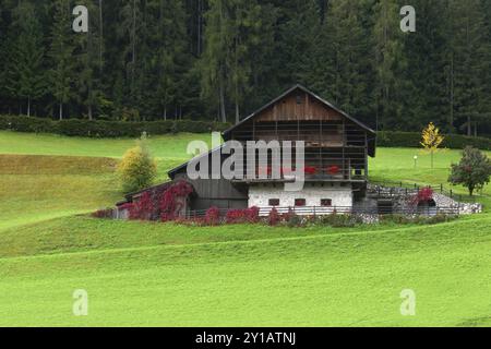 Bergfarm in Ortisei in Val Gardena Stockfoto