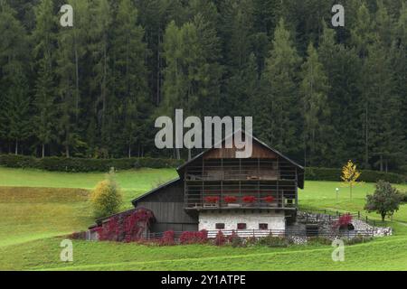 Bergfarm in Ortisei in Val Gardena Stockfoto