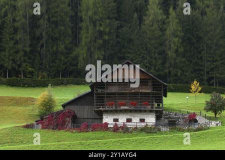 Bergfarm in Ortisei in Val Gardena Stockfoto