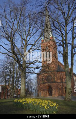 Peter Paul Kirche in Bad Oldesloe Stockfoto