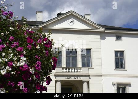 Bad Oldesloe Rathaus Stockfoto