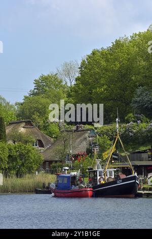 Alte Gothmunder Fischersiedlung an der Trave in Lübeck Stockfoto