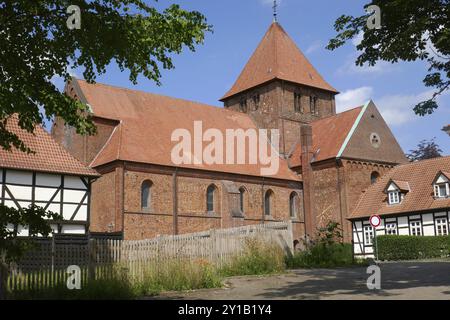 Stiftskirche St. Mauritius und St. Viktor in Bassum Stockfoto