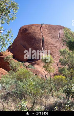 Blick vom Mala Walk Track, Uluru (Ayers Rock), Uluṟu-Kata Tjuṯa Nationalpark, Northern Territory, Australien Stockfoto