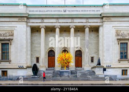 Blick auf die Straße, Montreal Museum of Fine Arts, Musée des Beaux-Arts de Montréal, Michal und Renata Hornstein Pavillion Fassade, Montreal, Quebec Kanada Stockfoto