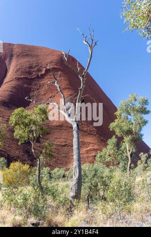 Blick vom Mala Walk Track, Uluru (Ayers Rock), Uluṟu-Kata Tjuṯa Nationalpark, Northern Territory, Australien Stockfoto