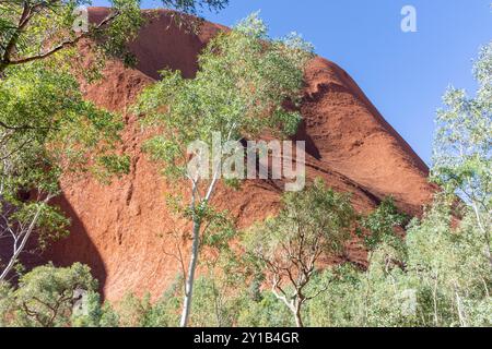 Blick vom Mala Walk Track, Uluru (Ayers Rock), Uluṟu-Kata Tjuṯa Nationalpark, Northern Territory, Australien Stockfoto