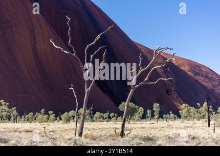 Blick vom Mala Walk Track, Uluru (Ayers Rock), Uluṟu-Kata Tjuṯa Nationalpark, Northern Territory, Australien Stockfoto