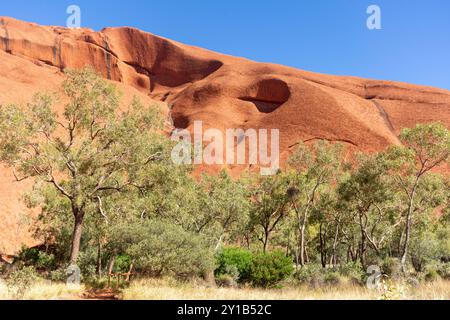 Blick vom Kuniya Walk, Uluru (Ayers Rock), Uluṟu-Kata Tjuṯa Nationalpark, Northern Territory, Australien Stockfoto