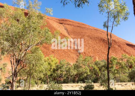 Blick vom Kuniya Walk, Uluru (Ayers Rock), Uluṟu-Kata Tjuṯa Nationalpark, Northern Territory, Australien Stockfoto