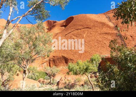 Blick vom Kuniya Walk, Uluru (Ayers Rock), Uluṟu-Kata Tjuṯa Nationalpark, Northern Territory, Australien Stockfoto