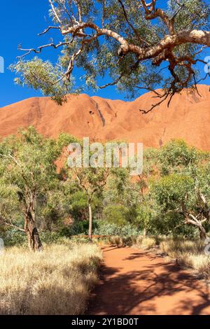 Blick vom Kuniya Walk, Uluru (Ayers Rock), Uluṟu-Kata Tjuṯa Nationalpark, Northern Territory, Australien Stockfoto