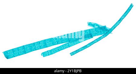 Spirogyra, ganze Halterung, unter einem Lichtmikroskop. 20-fache Lichtmikrografien, 2 kombinierte Fotos von Wasserseide, auch bekannt als Decket Weed. Stockfoto