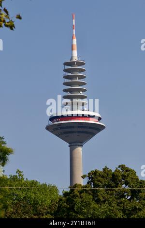 Frankfurt am Main, Deutschland. 31. August 2024. Turm von Europa. Stockfoto