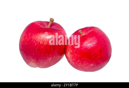 Apple isoliert. Roter ganzer Apfel auf weißem Hintergrund. Stockfoto