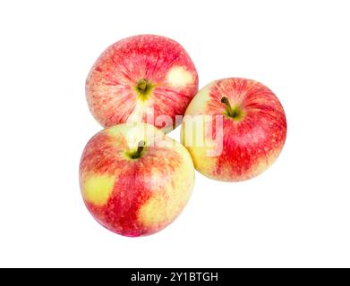 Apple isoliert. Roter ganzer Apfel auf weißem Hintergrund. Stockfoto