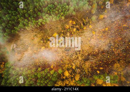 Luftaufnahme einer Holzfällerzone durchquert den Wald. Blick von oben auf Buschfeuer und Rauch in der Entwaldungszone. Wildes offenes Feuer zerstört Gras. Natur in Stockfoto