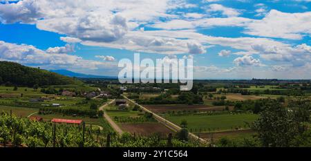 Panoramablick über das Oberrheintal vom Kaiserstuhl bis zum Schwarzwald (Baden, Deutschland) Stockfoto