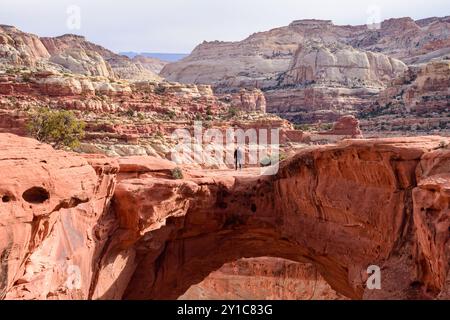 Ein einsamer Mann steht auf dem wunderschönen Cassidy Arch im Capitol Reef National Park, Utah und blickt von der Kamera weg. Um ihn herum sind zerklüftete rote Felsen. Stockfoto