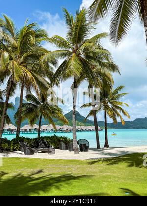 Blick auf den Mount Otemanu durch türkisfarbene Lagune, Palmen und Überwasser-Bungalows auf Bora Bora Island, Tahiti, Französisch-Polynesien und Südpazifik Stockfoto