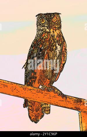 Digital verbessertes Bild eines rehabilitierten europäischen Uhus (Bubo bubo) Israel im Juli Stockfoto