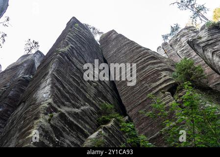 Nationalpark Adrspach Teplice Felsen. Adrspach Teplice Rocks Gebirge in Central Sudetes Teil der Tafelberge. Wunderschöner Kalkstein san Stockfoto