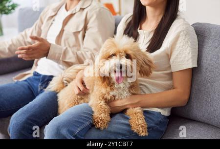 Junge Paare, die sich auf dem Sofa mit Maltipoo Hund entspannen, Fernsehen und die gemeinsame Zeit zu Hause genießen. Stockfoto