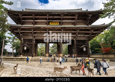 Touristen wandern mit wilden Hirschen am todai-JI-Tempel in nara, japan Stockfoto