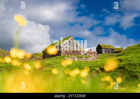 Grasdachhäuser, Saksun, Färöer Inseln Stockfoto