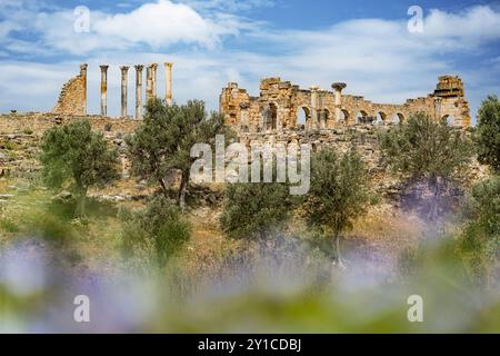 Kapitolinischen Tempel an der archäologischen Stätte Volubilis, Marokko Stockfoto