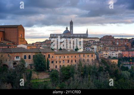 Blick auf Siena mit historischer Basilika und Kathedrale bei Sonnenuntergang Stockfoto