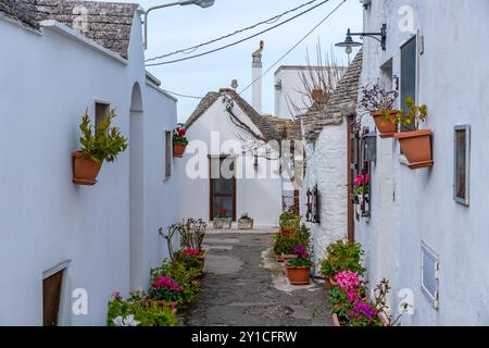 Traditionelle weiße Häuserstraße mit Blumen in Alberobello, Italien Stockfoto