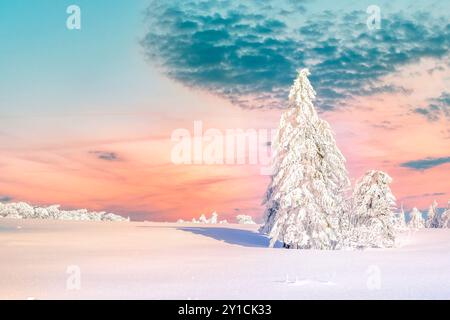 Winterwunderland Harz, Deutschland Stockfoto