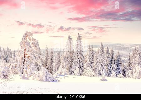 Winterwunderland Harz, Deutschland Stockfoto
