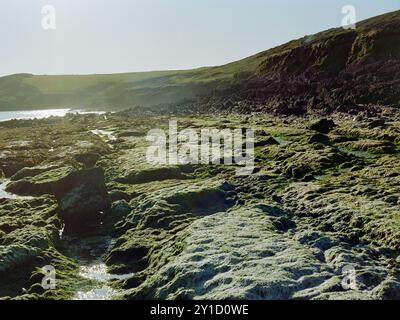 Filmfoto der Felsen am Manorbier Beach in der Nähe von Tenby in Pembrokeshire, Wales. Aufgenommen bei Sonnenuntergang mit einer 120 Filmkamera auf Kodak Gold. Stockfoto