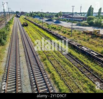 Blick auf die Gleise eines Güterbahnhofs mit einigen Wagen und zahlreichen Anschlussgleisen Stockfoto