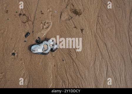 Feuchter goldener Sand mit herzförmiger Steinbildung Stockfoto