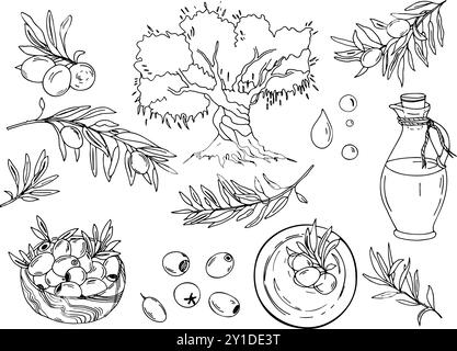 Oliven-Set, Zweige, Olivenbaum, Glaskrug und Schüssel mit Öl und Beeren, Holzschale mit Früchten, Öltropfen. Handgezeichnete Vektorgrafik-Illustration Stock Vektor