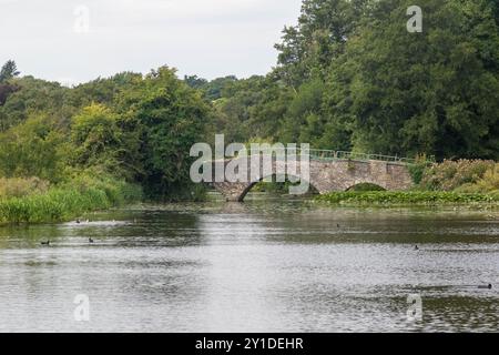 Eine alte Steinbrücke in der Nähe der Ruinen von Waverley Abbey, Farnham, Surrey Stockfoto