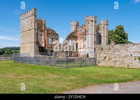 Cowdray Heritage Ruinen – eines der ältesten Tudor House Englands, das im September 1793 durch Feuer zerstört wurde (außer dem Kitchen Tower). Stockfoto