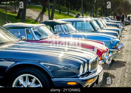 Lissabon, Portugal - 20. Januar 2024: Eine Reihe glänzender Oldtimer der Marken Jaguar, MG, Triumph und Mini und anderer parkten auf einer kopfsteingepflasterten Auffahrt in der Nähe des grünen Parks. Stockfoto
