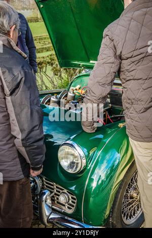 Drei nicht erkennbare männliche Erwachsene stehen bereit und schauen in die offene Motorhaube eines grünen Oldtimers. Die Motorhaube wird angehoben, und der Motorraum ist sichtbar. Grünes Gras im Hintergrund Stockfoto